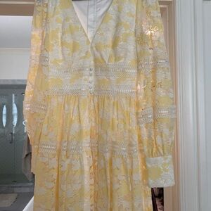 Bardot Cream Lace Dress